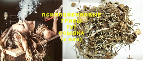 спайс Мегион