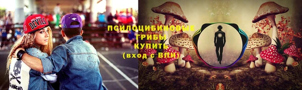 экстази Медвежьегорск
