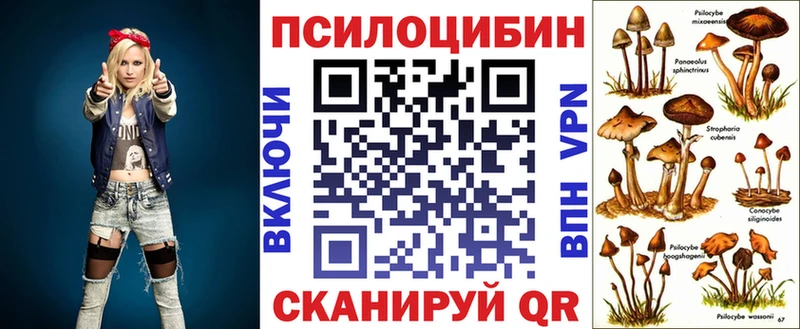 Галлюциногенные грибы GOLDEN TEACHER  где можно купить   Кулебаки 